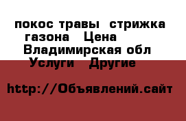 покос травы. стрижка газона › Цена ­ 300 - Владимирская обл. Услуги » Другие   